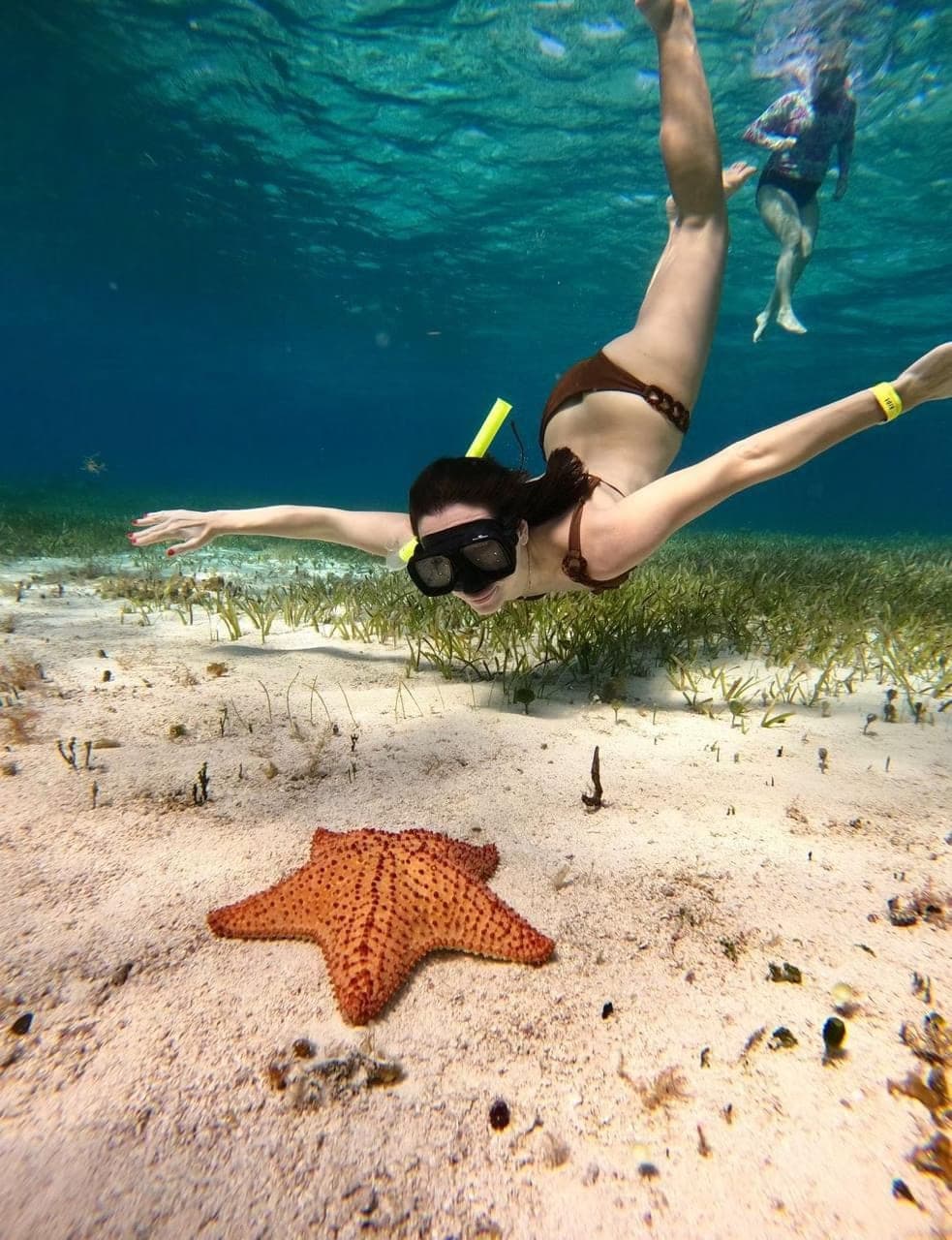 Snorkeling Tour