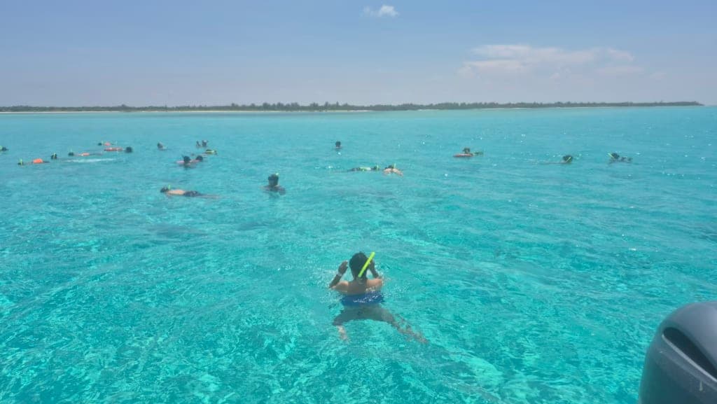 Snorkeling Tour 4