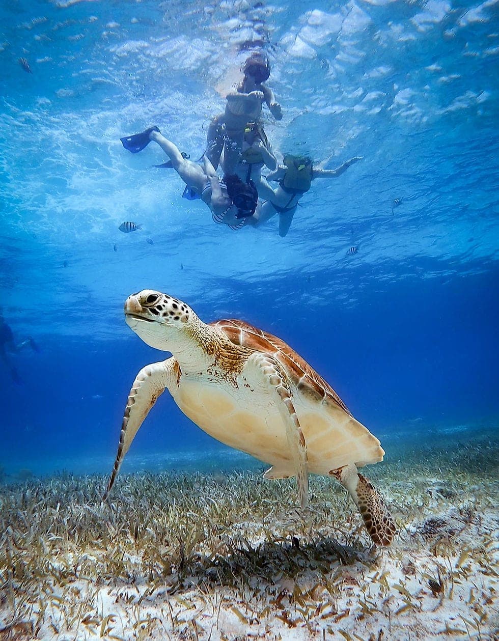 Snorkeling Tour 5
